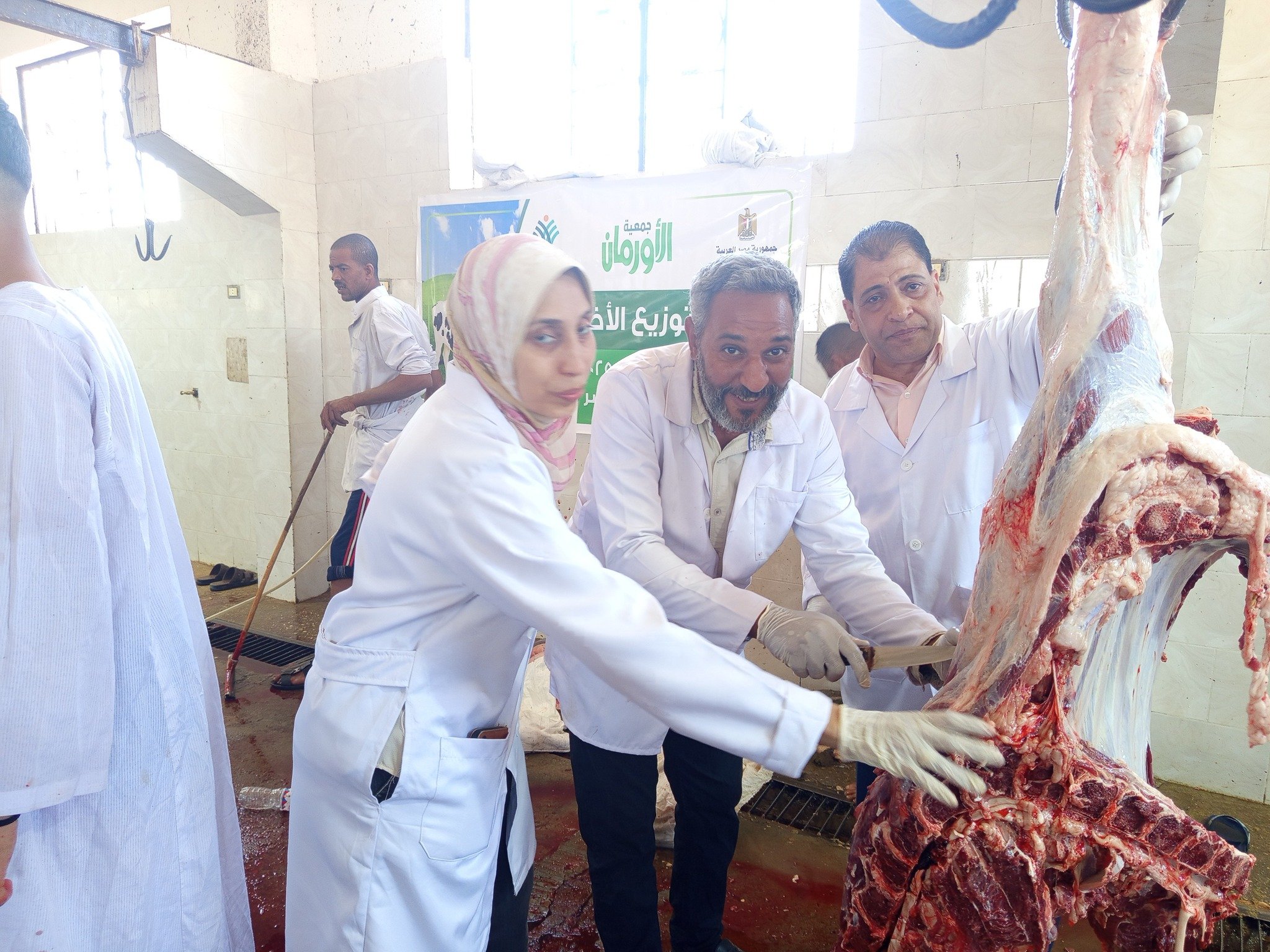 متابعة أضحيات العيد على مدار أيام عيد الأضحى المبارك بالمجان تماماً متابعة أضحيات العيد على مدار أيام عيد الأضحى المبارك بالمجان تماماً