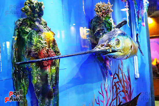 المعروضات تحاكي بيئات بحرية من مختلف السواحل المصرية