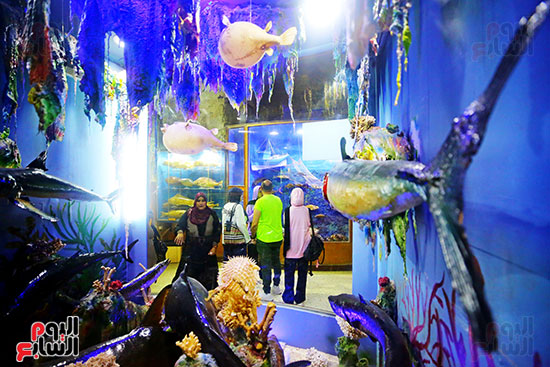 زوار المتحف