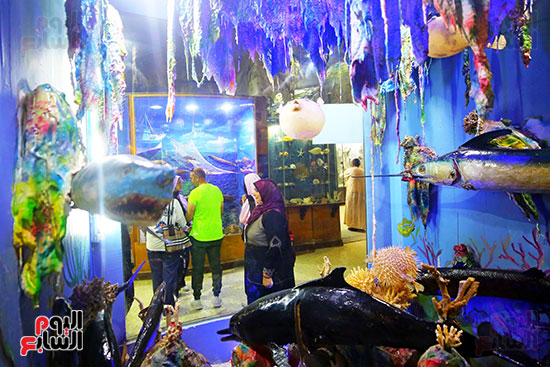 يعكس المتحف علاقة المصريين بالبحر منذ القدم وحتى اليوم