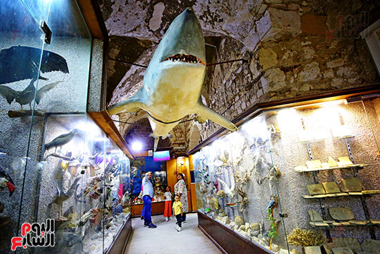 احتفاء بيوم المحيطات العالمي داخل مؤسسة علمية وثقافية