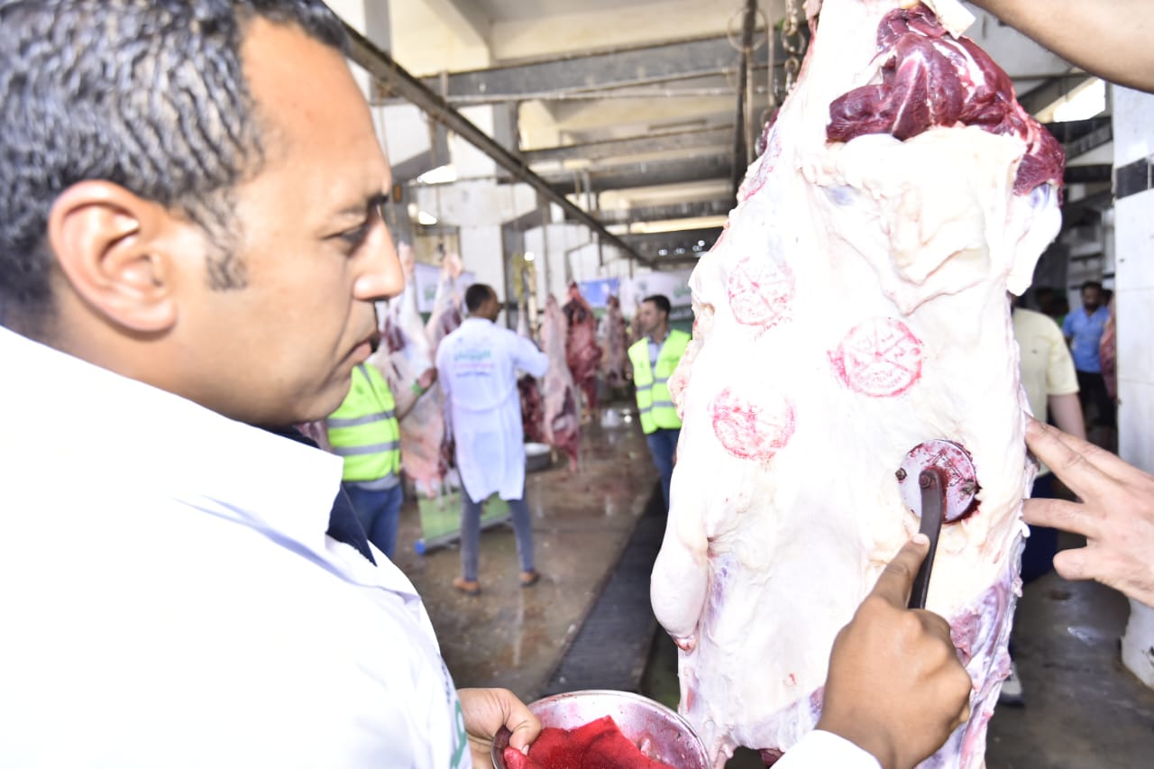التحالف الوطني يواصل ذبح وتوزيع الأضاحي بجميع المحافظات (11)