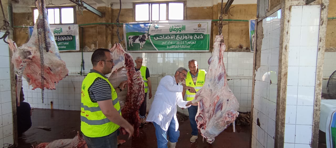 التحالف الوطني يواصل ذبح وتوزيع الأضاحي بجميع المحافظات (6)