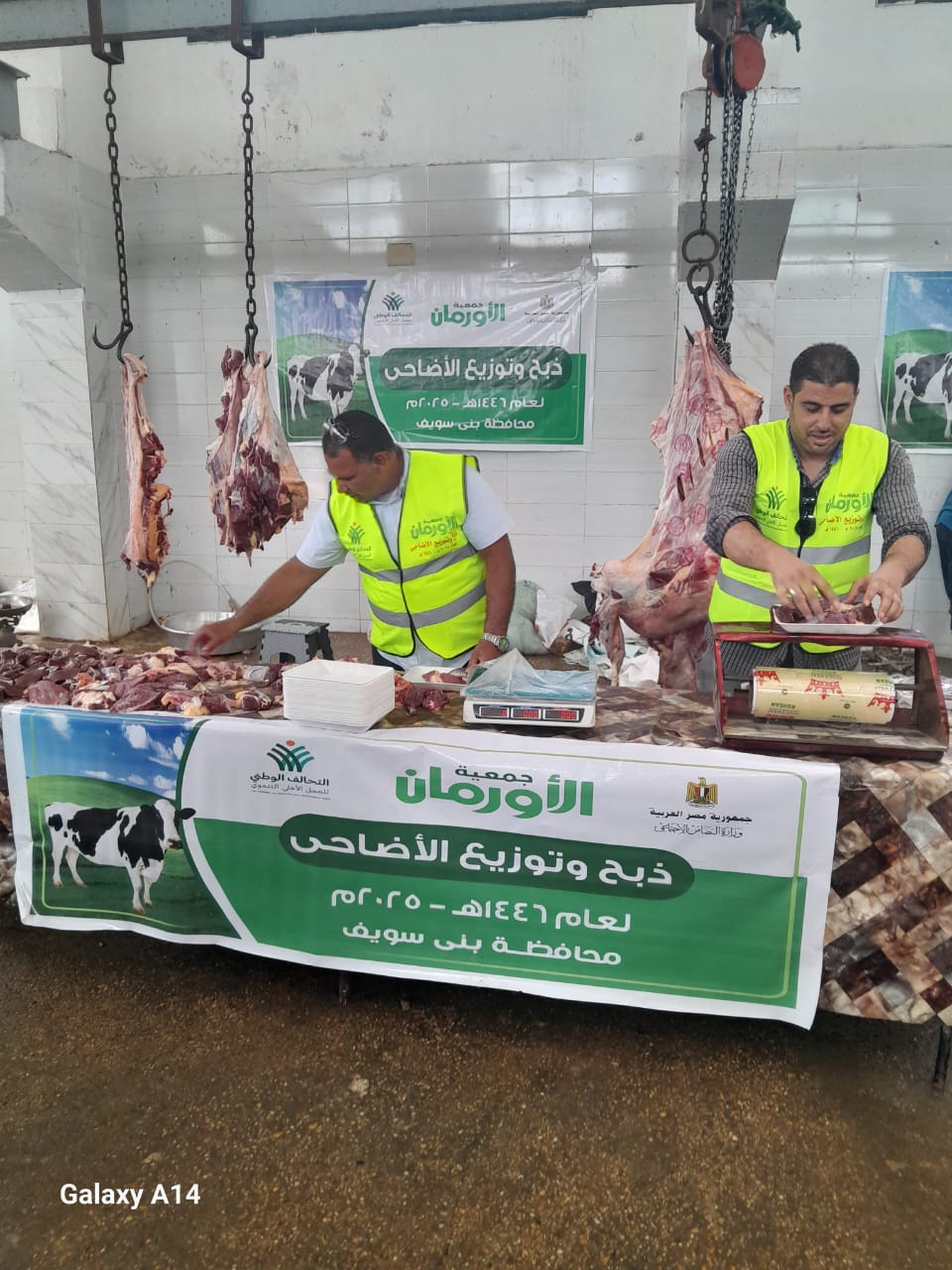  التحالف الوطني يواصل ذبح وتوزيع الأضاحي بجميع المحافظات (5)