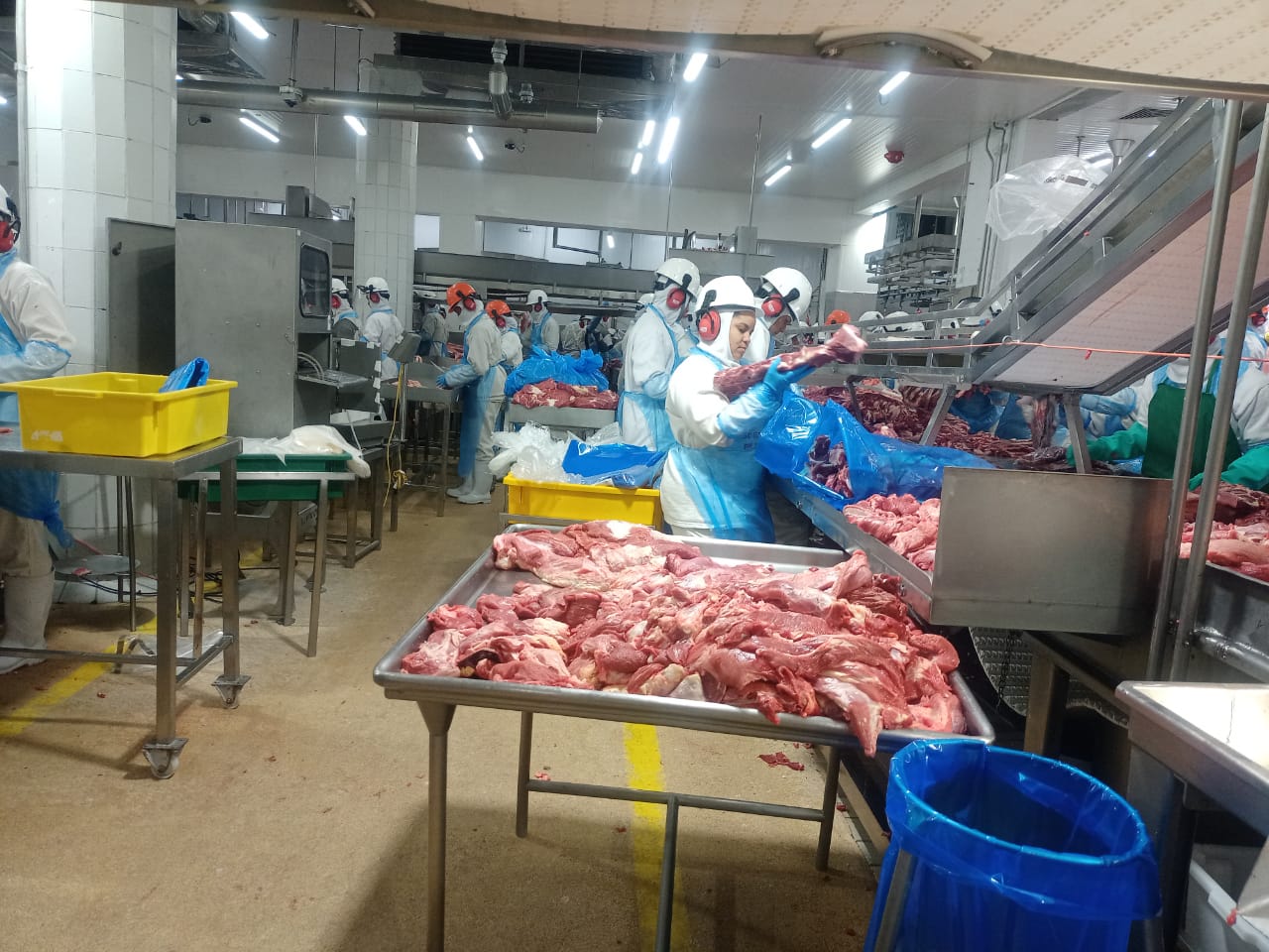 جمعية الأورمان عضو التحالف الوطني تذبح الأضاحي في البرازيل (2)