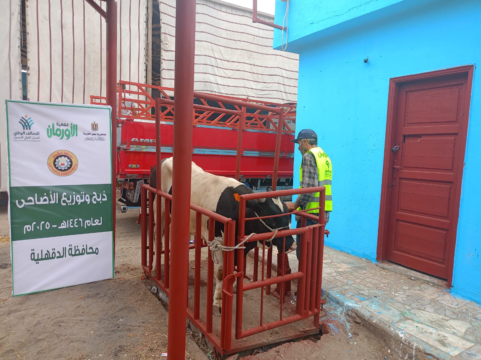  التحالف الوطني يواصل ذبح وتوزيع الأضاحي بجميع المحافظات (8)