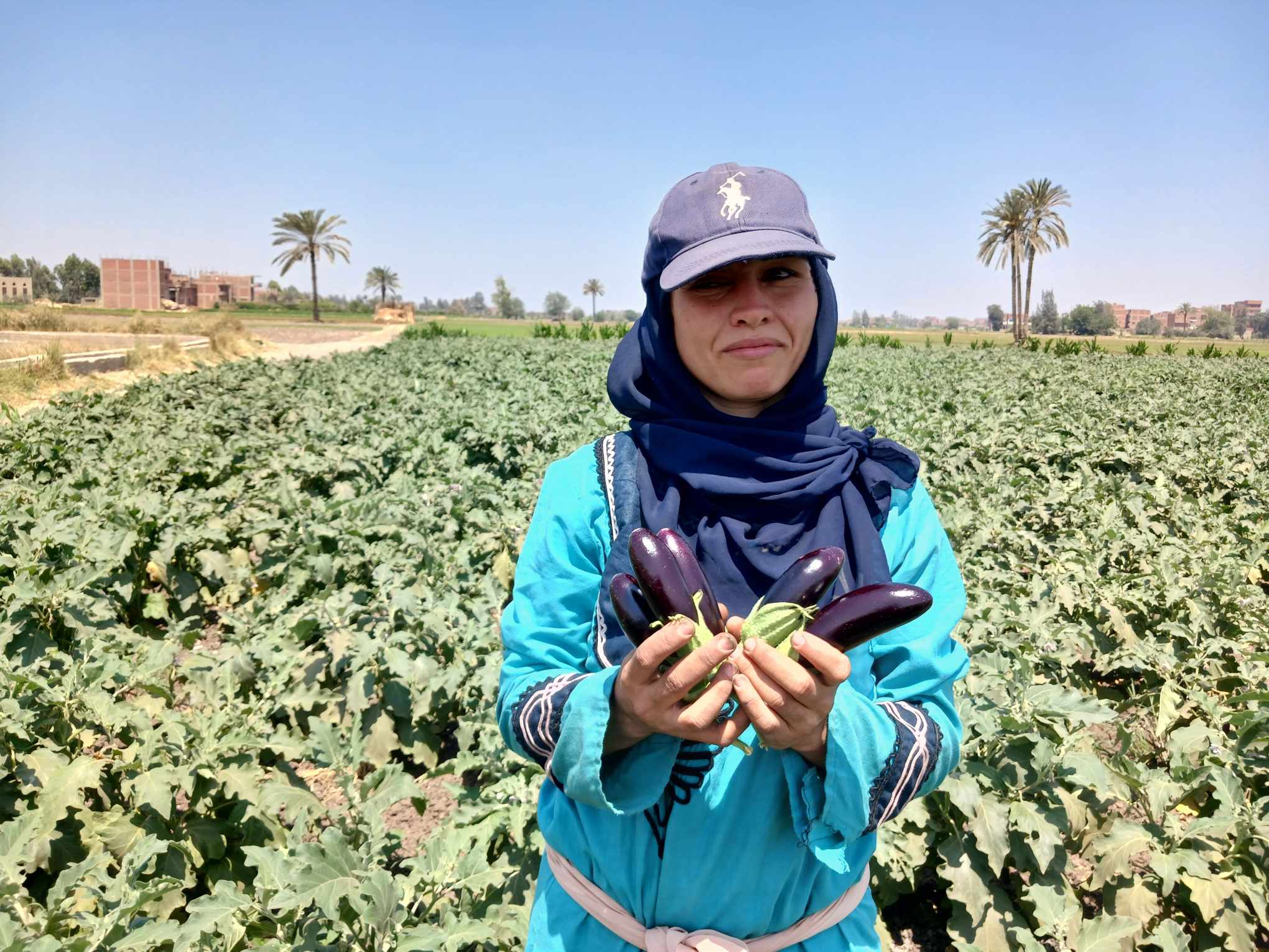 بشاير الخير