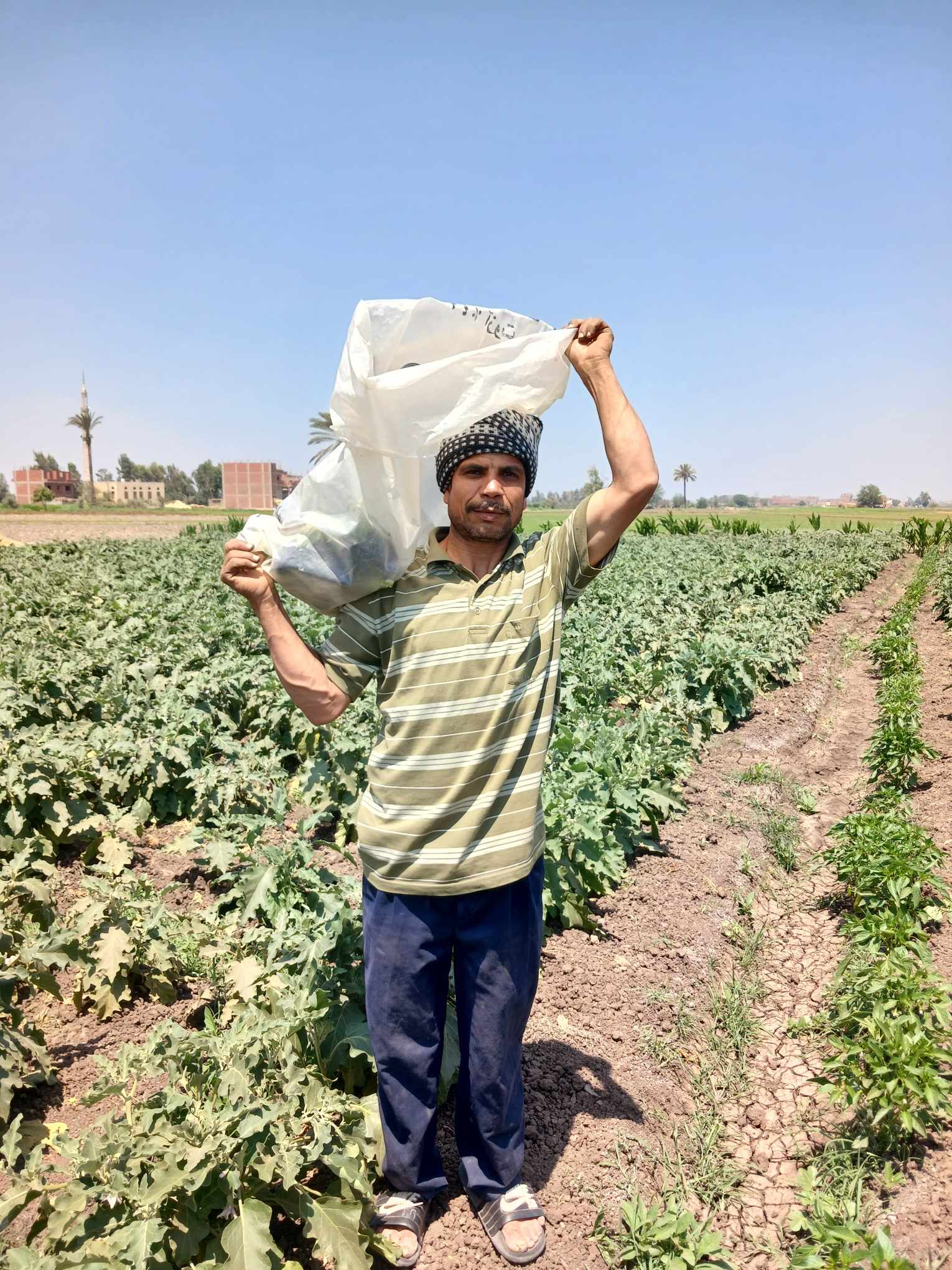 الايادى العاملة