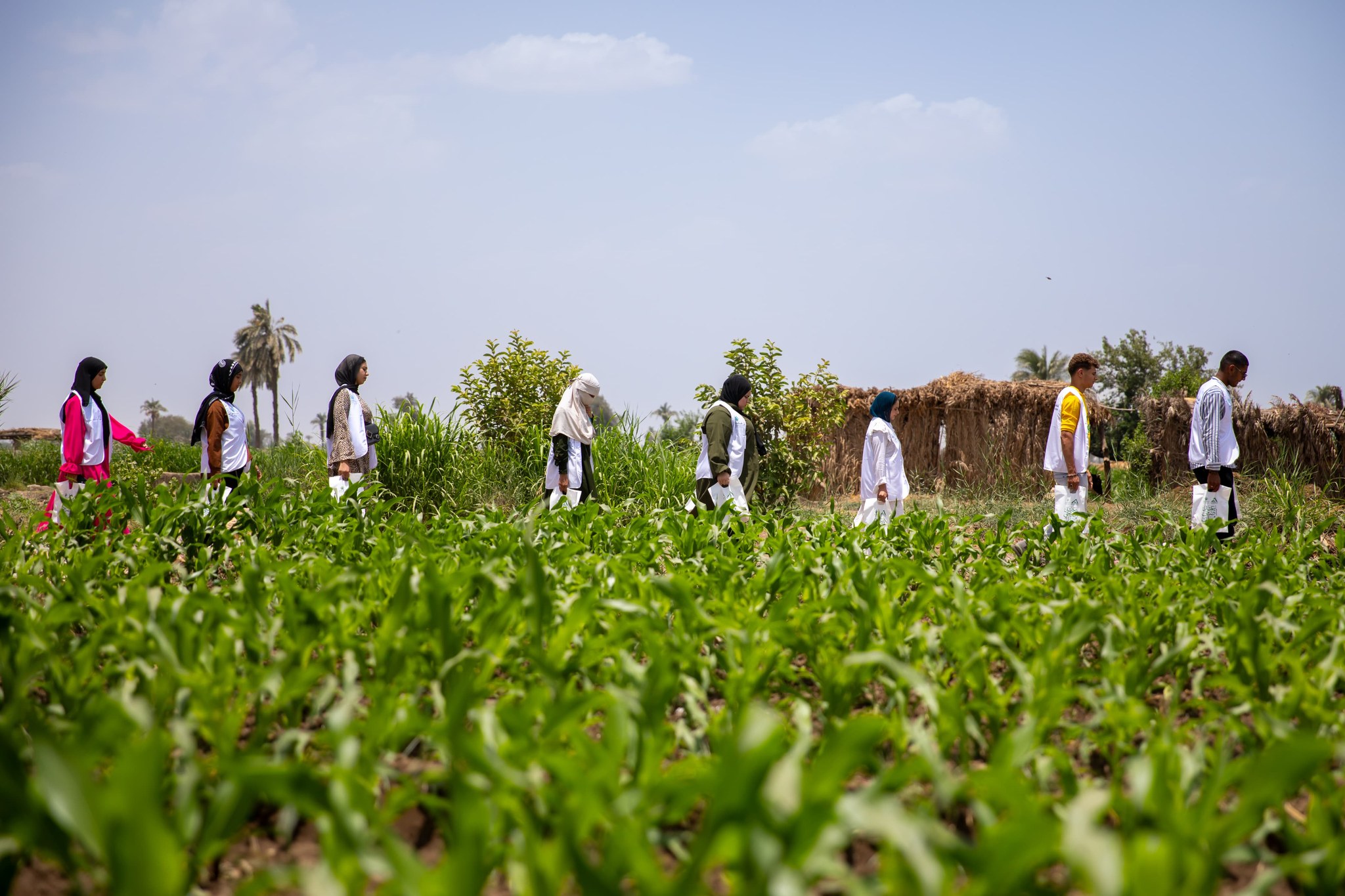 مؤسسة أبو هشيمة عضو التحالف الوطني توزع لحوم الأضاحي بمحافظة بني سويف (2)