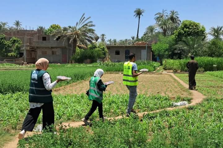 مصر الخير عضو التحالف الوطني توزع لحوم الأضاحي على آلاف الأسر الأولى بالرعاية (4)