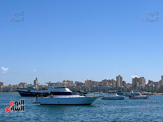 تاخير اليخوت فى الاسكندرية تاخير اليخوت فى الاسكندرية