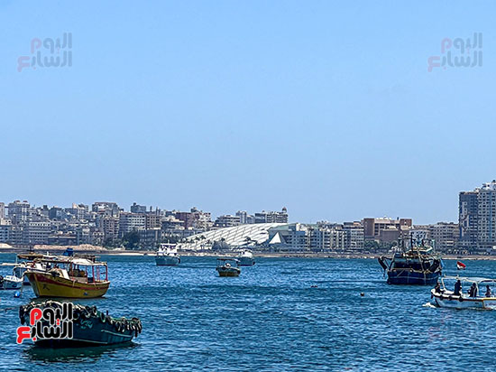مراكب صيد امام مكتبة الاسكندرية مراكب صيد امام مكتبة الاسكندرية