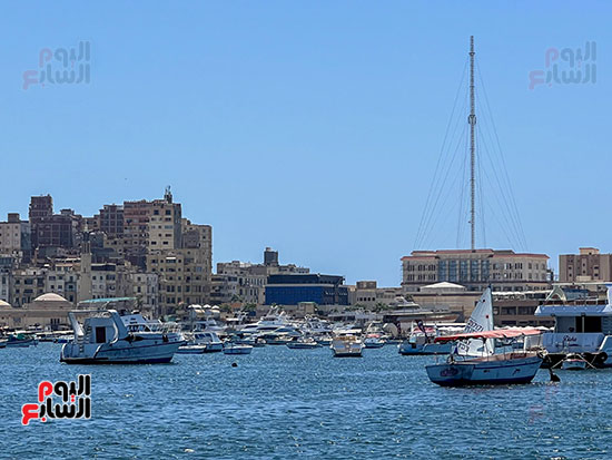 عروس البحر المتوسط اسكندرية (2)