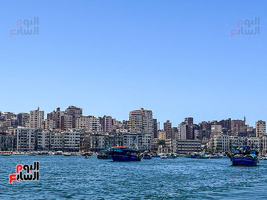 عروس البحر المتوسط اسكندرية عروس البحر المتوسط اسكندرية