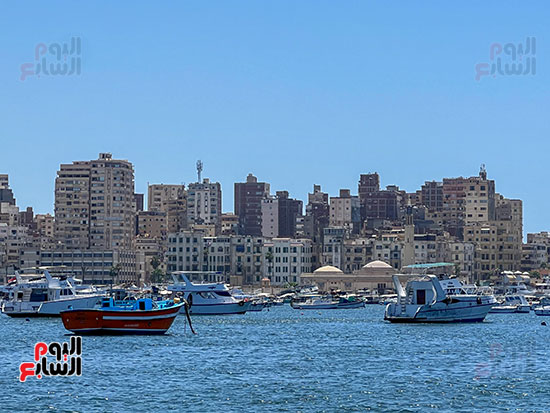 مراكب الاسكندرية مراكب الاسكندرية