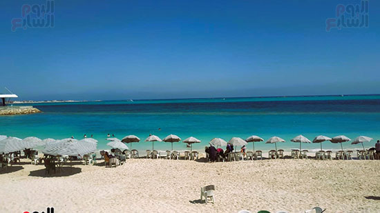 شواطى مطروح (10)
