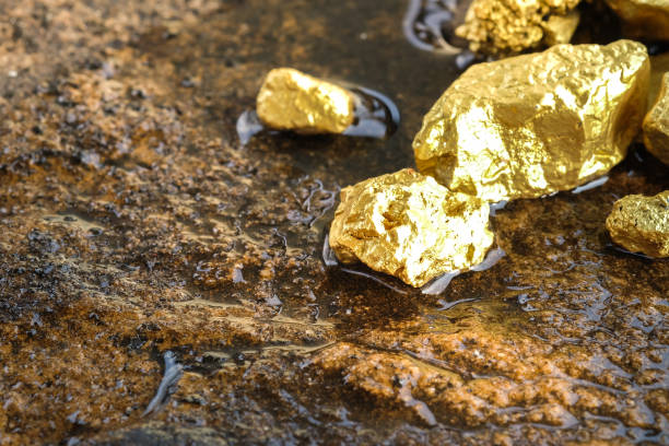 تفسير حلم العثور على الذهب الدفون تفسير حلم العثور على الذهب الدفون