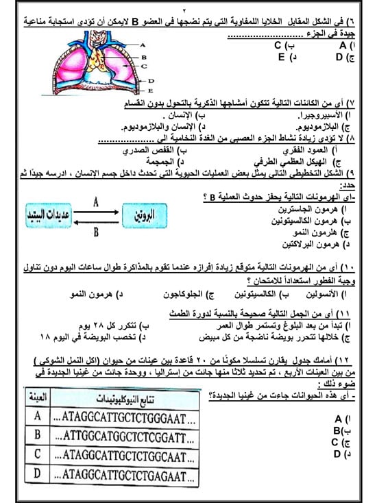 72025916658614-مراجعة-نهائية-اليوم-السابع-2025-2