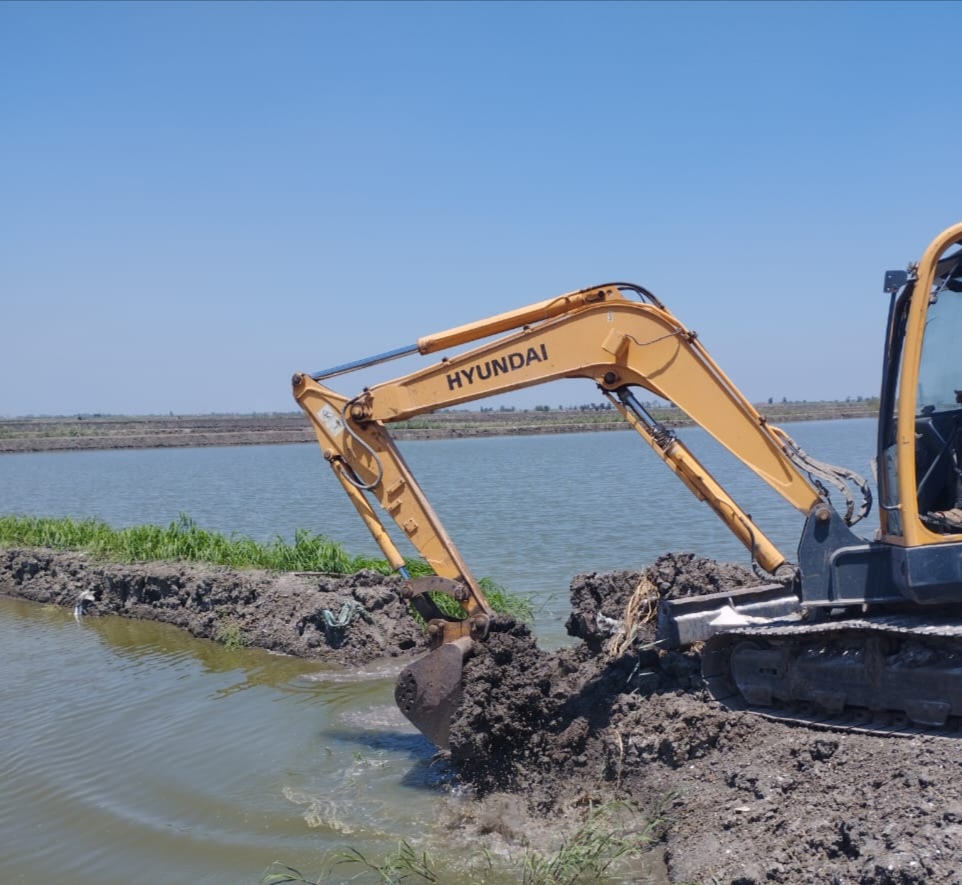 الازالات في المزارع