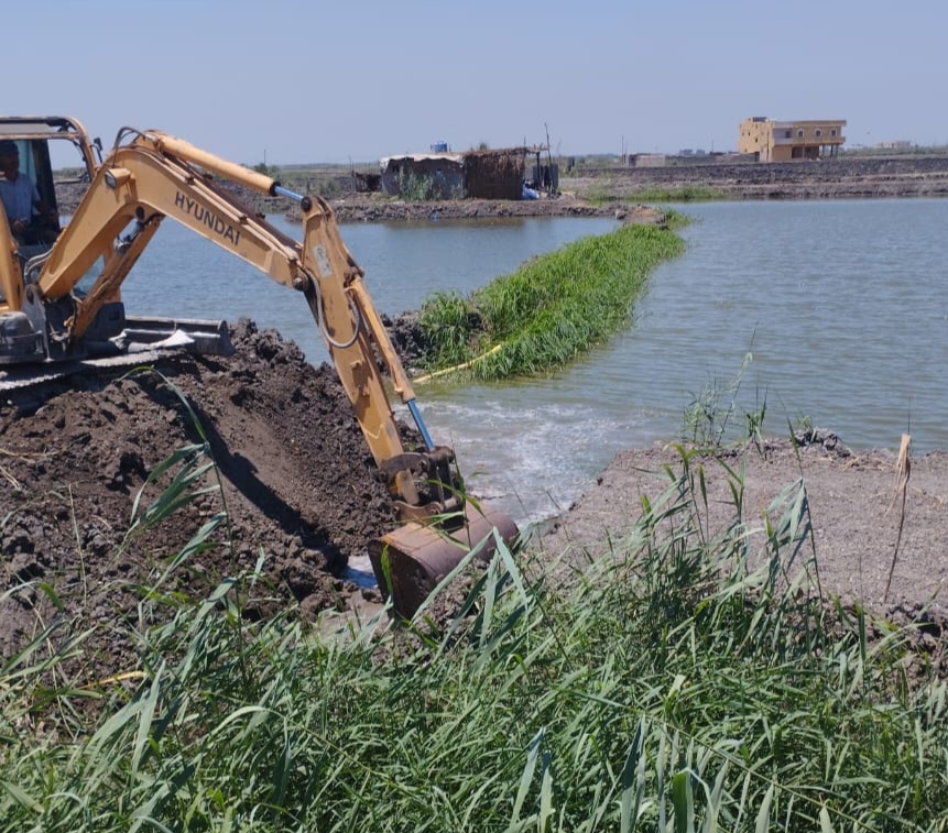 ازالات مزارع الجنوب