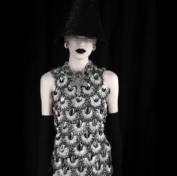 صورة من العرض