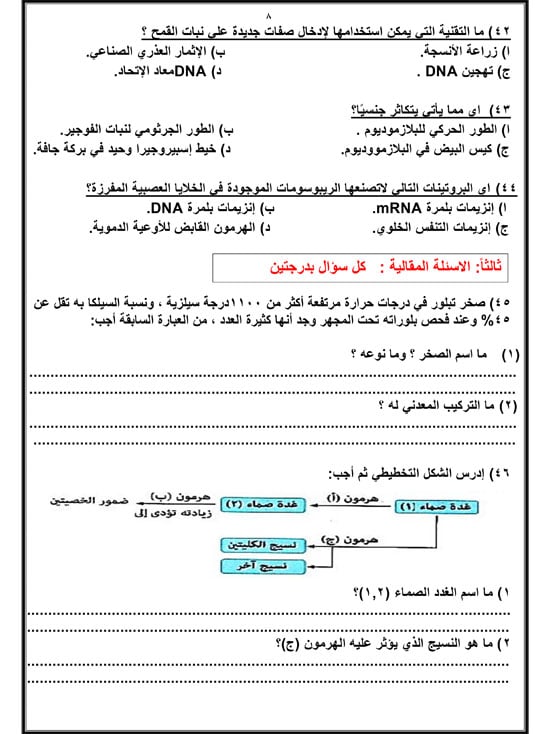 72025916658614-مراجعة-نهائية-اليوم-السابع-2025-8