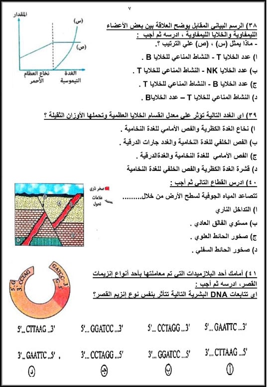 72025916658614-مراجعة-نهائية-اليوم-السابع-2025-7