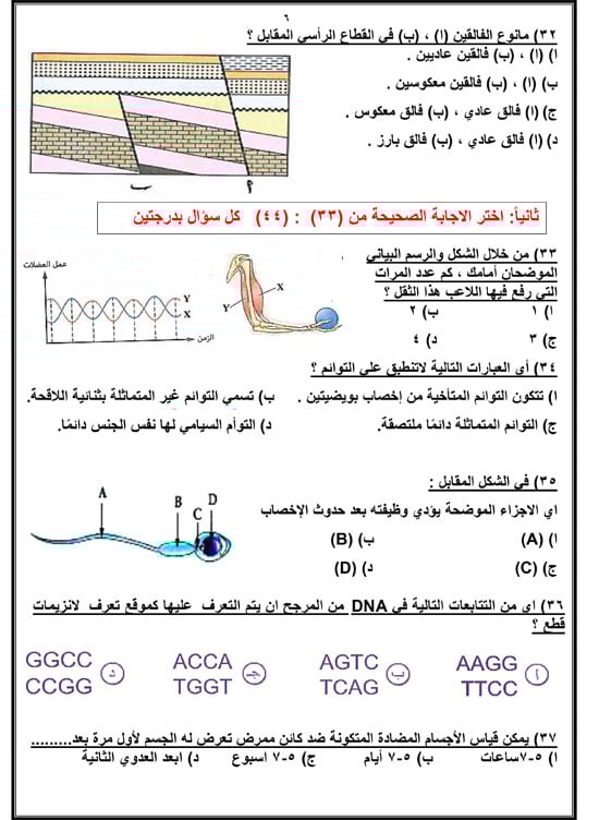 72025916658614-مراجعة-نهائية-اليوم-السابع-2025-6