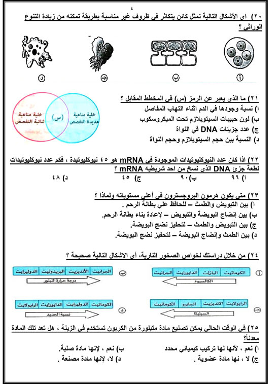 72025916658614-مراجعة-نهائية-اليوم-السابع-2025-4