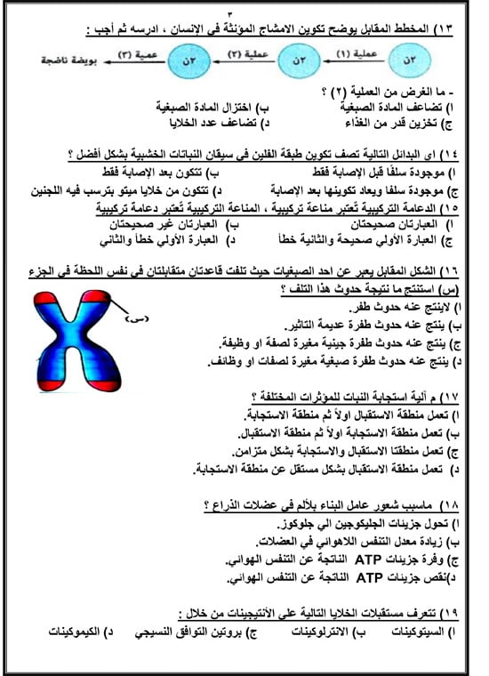 72025916658614-مراجعة-نهائية-اليوم-السابع-2025-3