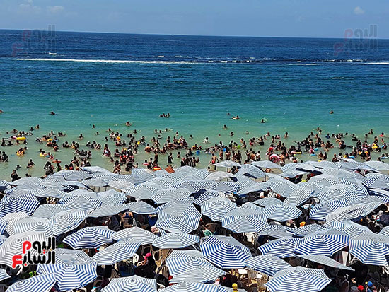 الزحام-فى-البحر الزحام-فى-البحر