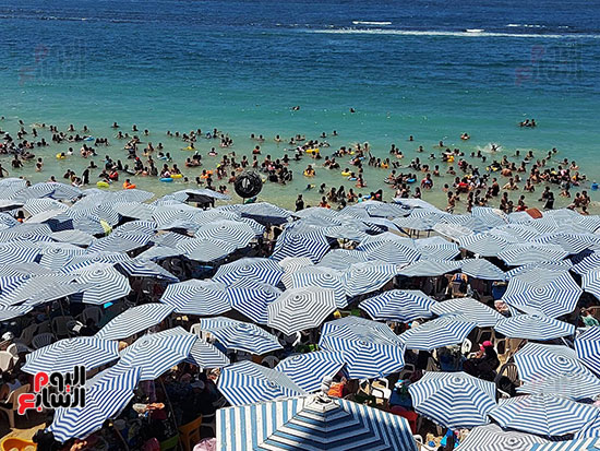 لا-يوجد-مكان-لقدم لا-يوجد-مكان-لقدم