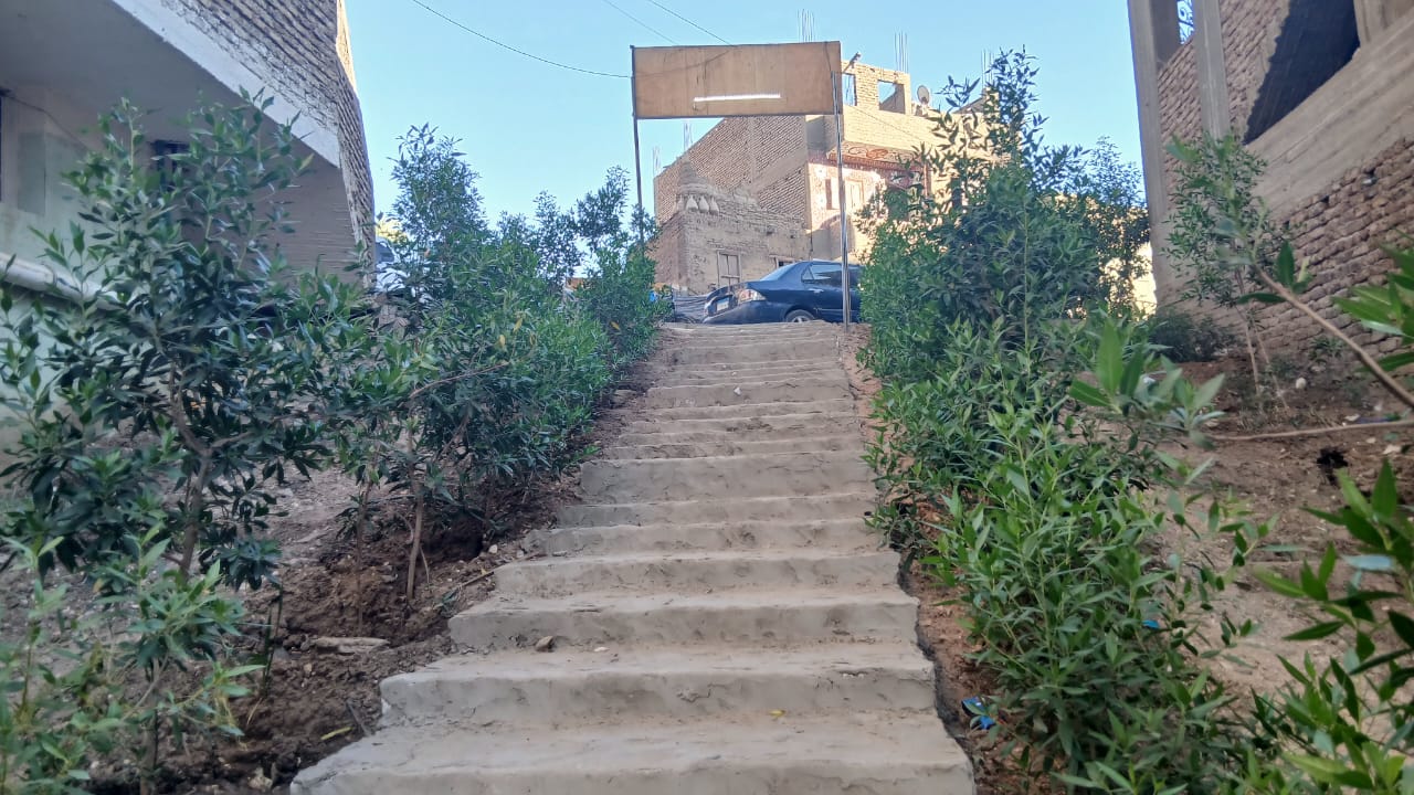حديقة المدرسة