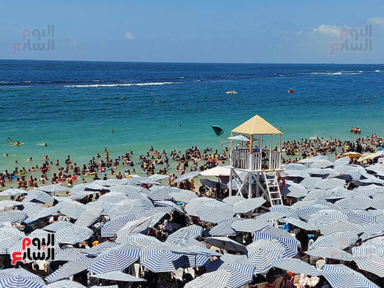 رفع-الراية-الخضراء-شرقا9 رفع-الراية-الخضراء-شرقا9