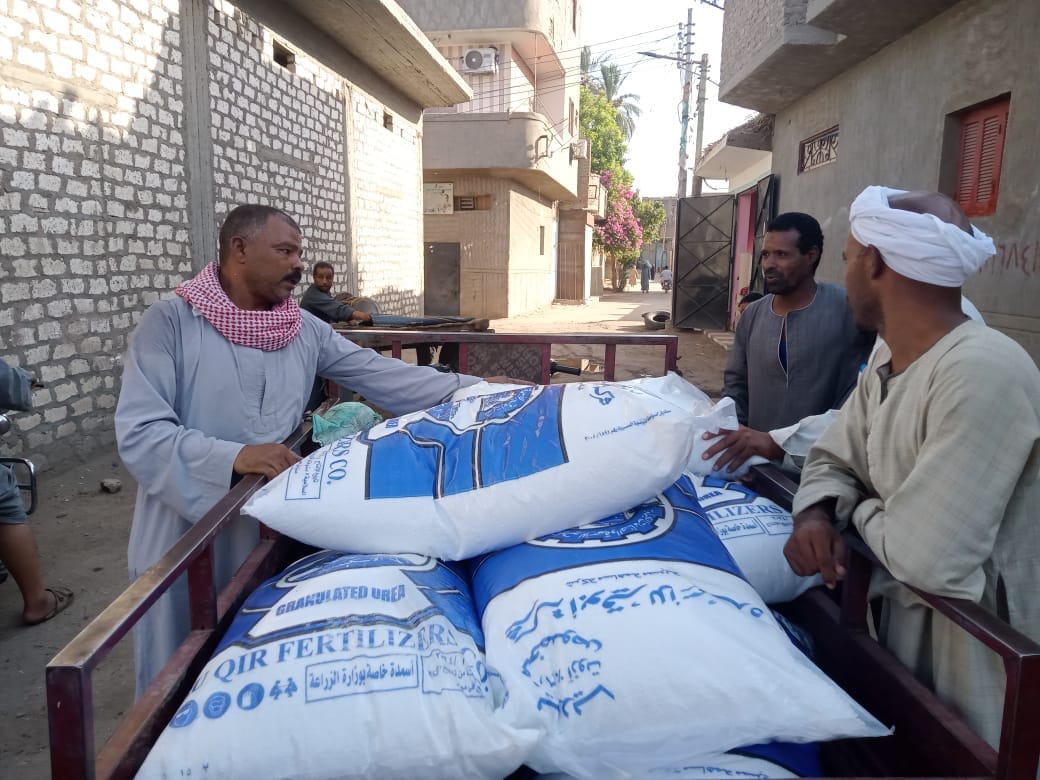 توفير الأسمدة ودعم المزارعين حول الأقصر توفير الأسمدة ودعم المزارعين حول الأقصر