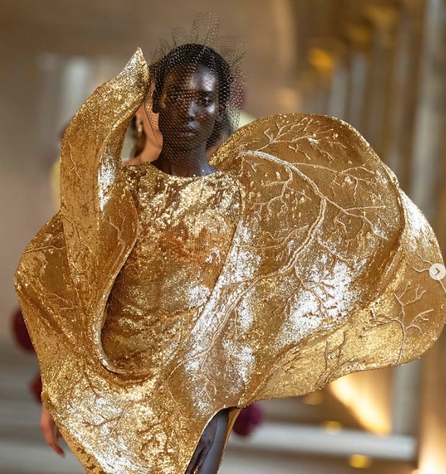 تصميم آخر للمصمم الهندى