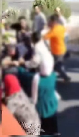 الواقعة
