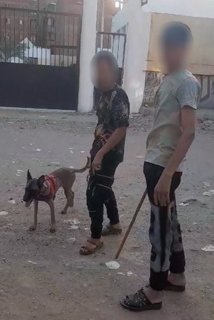 واقعة ترهيب أطفال بالكلاب