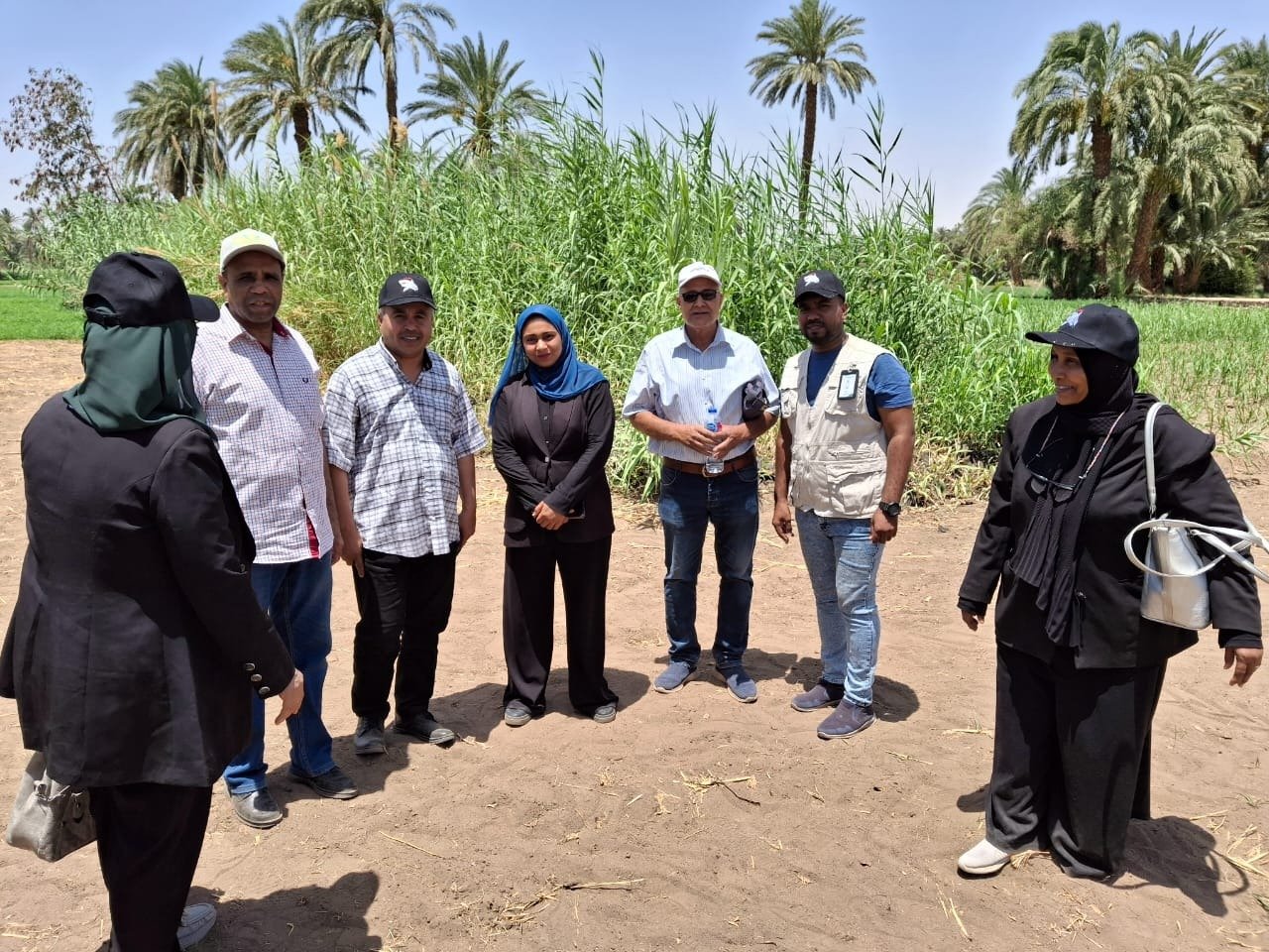 جانب من الجولات فى الحقول الزراعية خلال الفترة الماضية بالأقصر جانب من الجولات فى الحقول الزراعية خلال الفترة الماضية بالأقصر