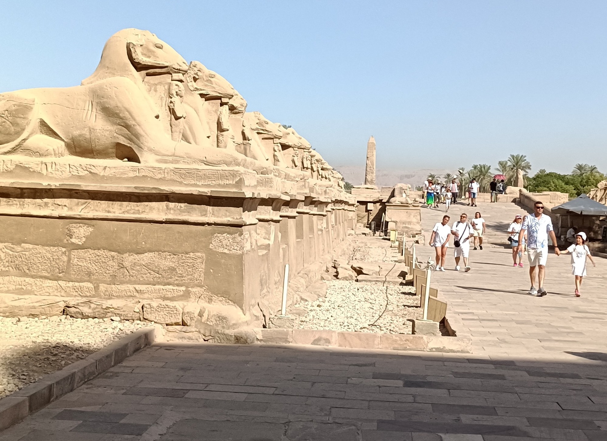 توافد السائحين يومياً فى معابد الكرنك بالأقصر توافد السائحين يومياً فى معابد الكرنك بالأقصر