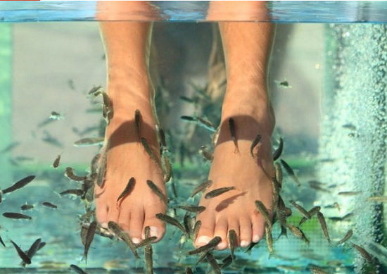 باديكير السمك