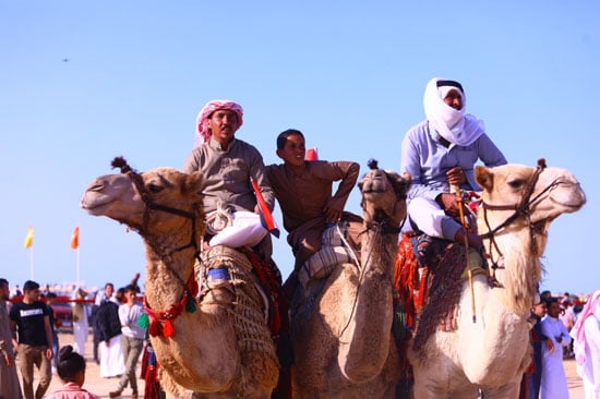 الهجانة الهجانة
