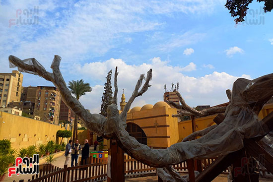 شجرة مريم (2)