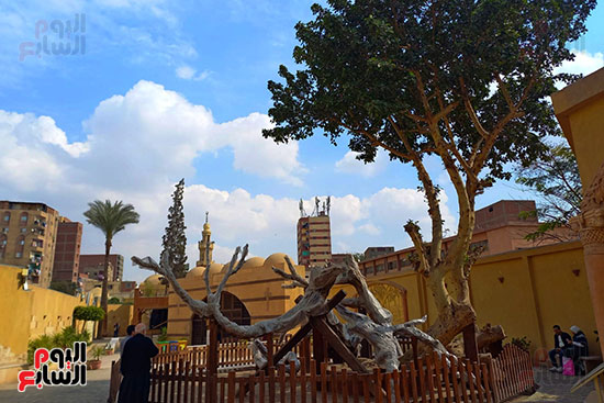 رحلة العائلة المقدسة