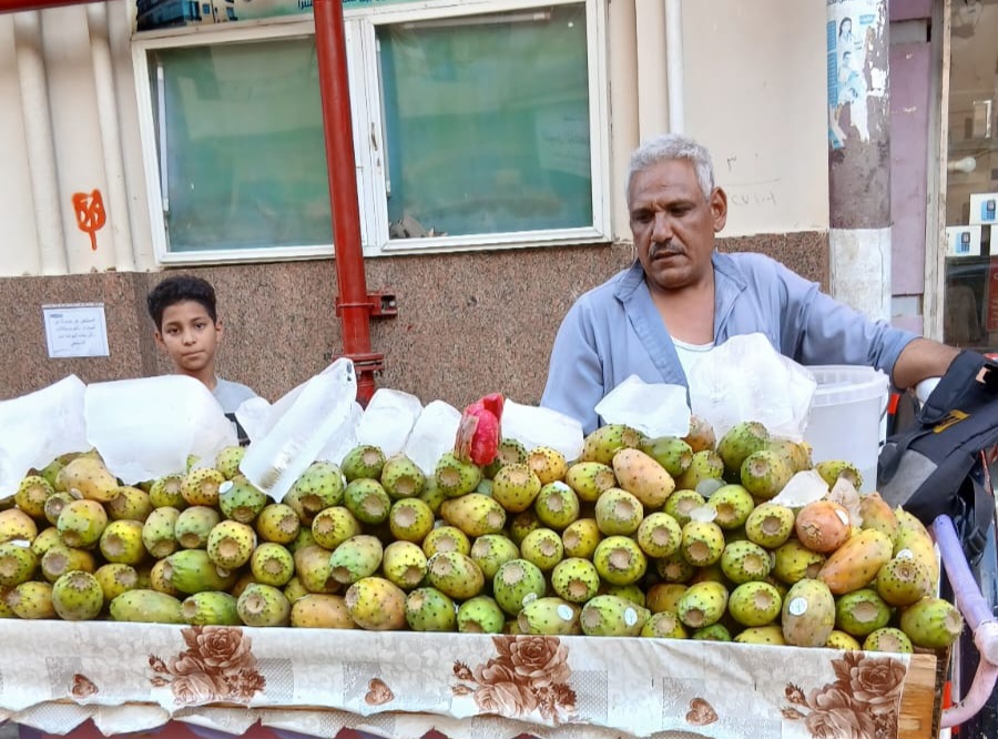 عربة التين الشوكي 
