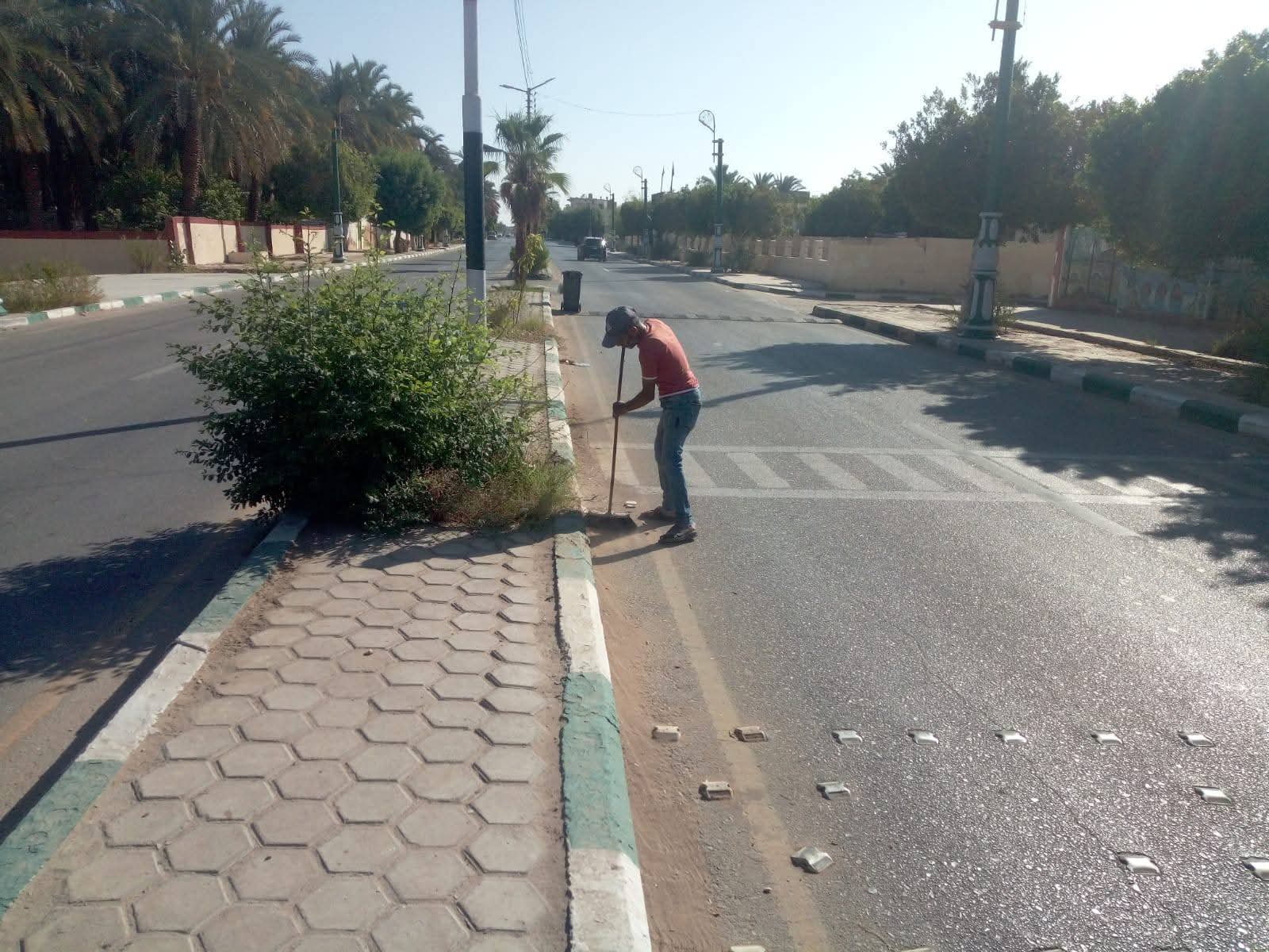 مدينة الخارجة صديقة للبيئة والمناخ مدينة الخارجة صديقة للبيئة والمناخ