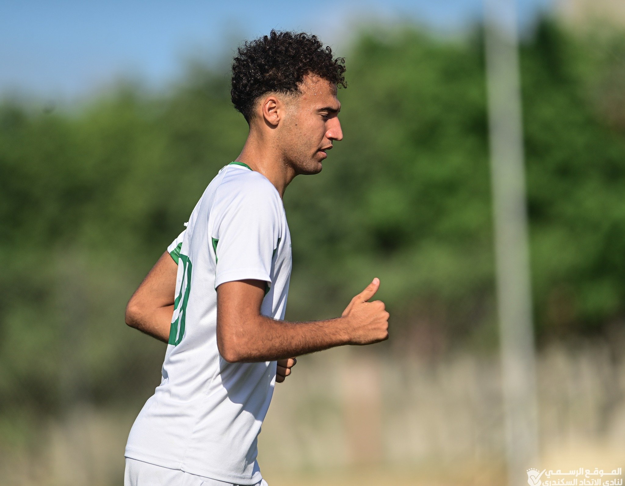 محمود عجيب محمود عجيب