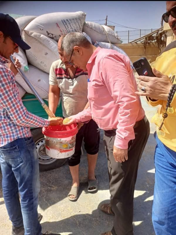 لجان فحص القمح لجان فحص القمح