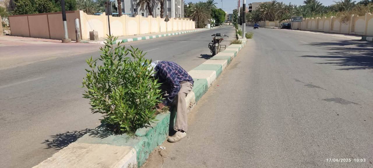 قص وتهذيب الشوارع قص وتهذيب الشوارع