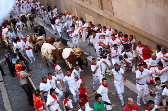 مصارعة انطلقت في إسبانيا يوم الاثنين واحدة من أكثر تقاليدها إثارة للجدل والإثارة سباق الثيران في بامبلونا (5)